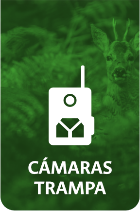 C&aacute;maras trampa
